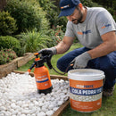 Cola Pedra Veda Forte - resultado no jardim